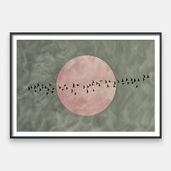 Flight Through Stillness