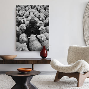 Black Sheep Canvas
